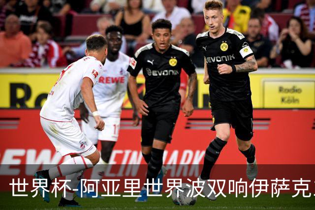 世界杯-阿亚里世界波双响伊萨克1射2传 瑞典5-1突尼斯